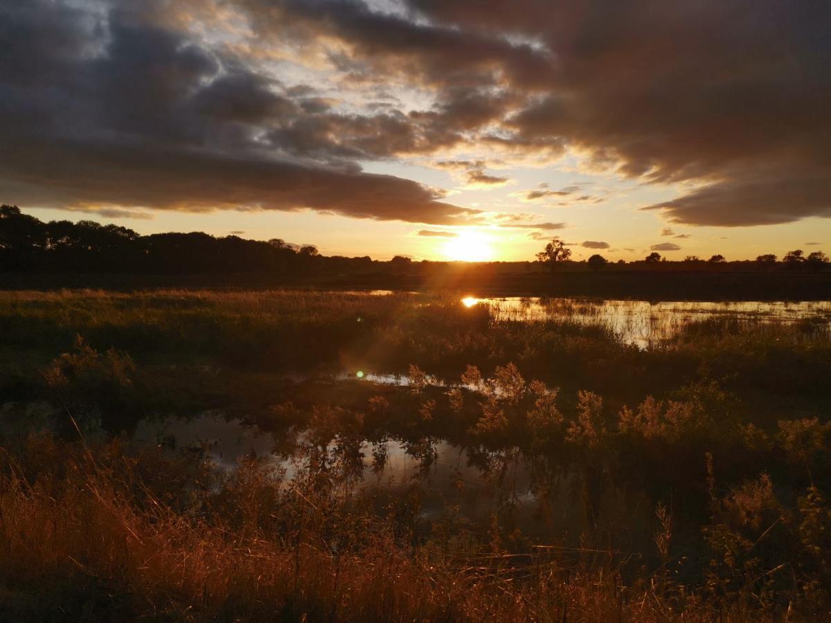 เอ็กเซบี กรีน ดราก้อน Bed & Breakfast Leeming Bar ภายนอก รูปภาพ